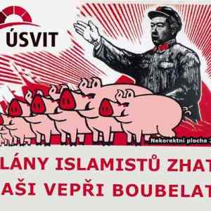 Obrázek 'Plany islamistu zhati'