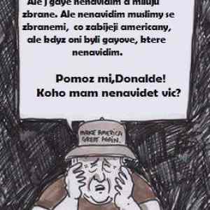 Obrázek 'Pomoz mi Donalde'