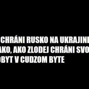 Obrázek 'Putin chrani rusko'