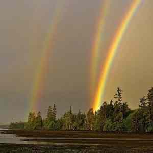 Obrázek 'Quadruple Rainbow All the Way - 04-05-2012'