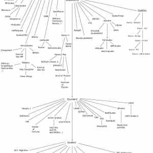 Obrázek 'Quake - family tree'