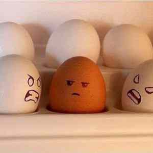 Obrázek 'Rasisticka vejce'