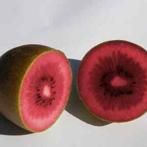 Obrázek 'Red-kiwifruit'