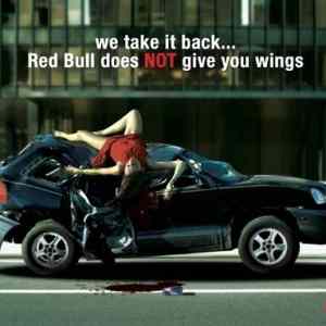 Obrázek 'Red Bull Does Not Give You Wings'