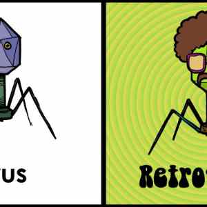 Obrázek 'Retrovirus'