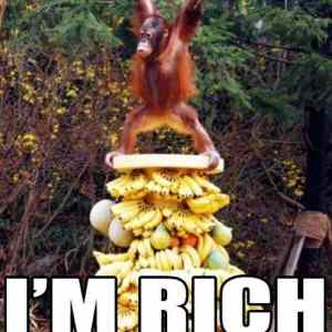 Obrázek 'Rich Monkey'