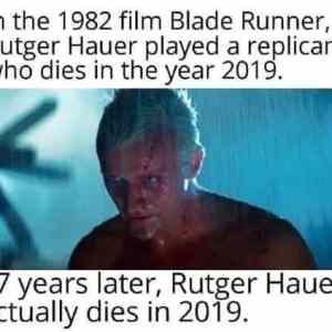 Obrázek 'Rip Hauer'