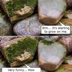 Obrázek 'Rock humor'