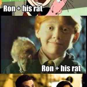 Obrázek 'Ron a jeho potkan'
