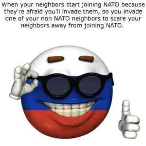 Obrázek 'Russia logic1'