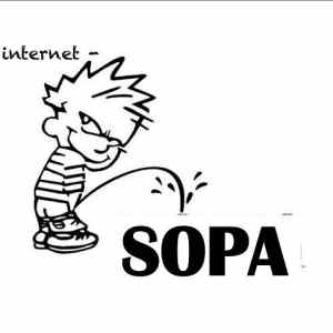 Obrázek 'SOPAs future 19-01-2012'