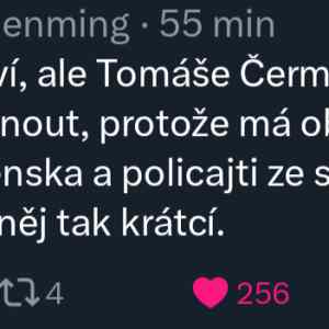 Obrázek 'Sachmat'