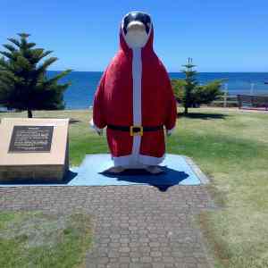 Obrázek 'Santa pinguin'