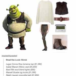 Obrázek 'Shrek steal his look'