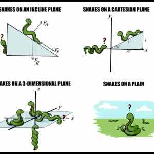 Obrázek 'Snakes on a Plane'