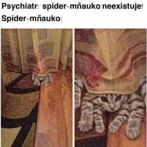 Obrázek 'Spider Mnauko'