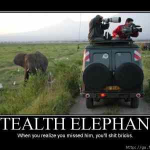 Obrázek 'Stealth elephant'
