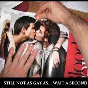 Obrázek 'Still not as gay as'