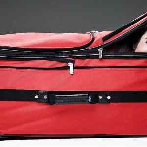 Obrázek 'Suitcase 15-02-2012'