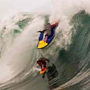 Obrázek 'Surfer Almost Decapitated By Jet Ski'