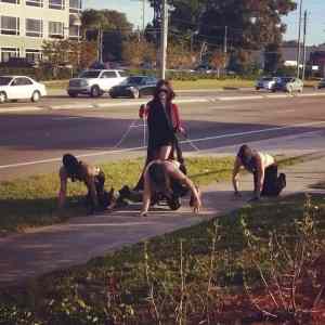 Obrázek 'Taking Her Puppies For A WALK'