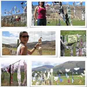 Obrázek 'The Cardrona Bra Fence of New Zealand'