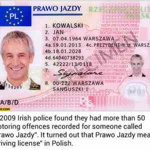 Obrázek 'The Polish get the last laugh'