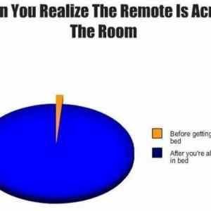 Obrázek 'The Remote'