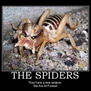 Obrázek 'The Spiders'