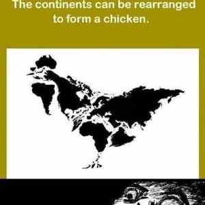 Obrázek 'The world is a chicken 30-01-2012'