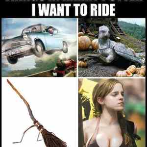 Obrázek 'Things In Harry Potter I Want To Ride'