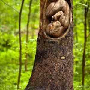 Obrázek 'Tree sculpture baby embryo'