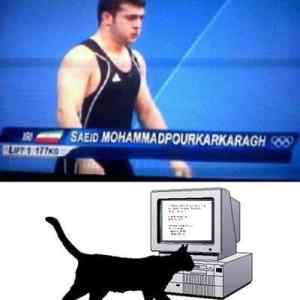 Obrázek 'Trollcat Olympic Edition'