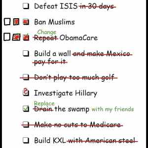 Obrázek 'Trumps Presidential Checklist'