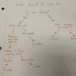 Obrázek 'US elections flowchart'