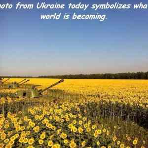 Obrázek 'Ukraine today  '