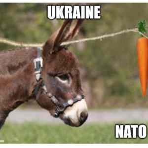 Obrázek 'Ukrajina ma NATO nadosah'
