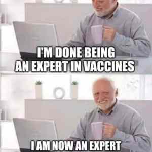 Obrázek 'Vaxxers right now'