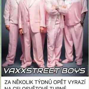 Obrázek 'Vaxxstreetboys 2023-2024'