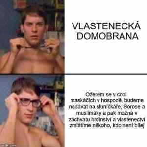 Obrázek 'Vlastenecka domobrana'