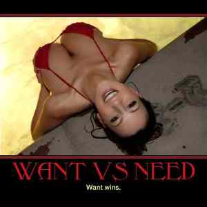Obrázek 'Want vs Need - 29-04-2012'
