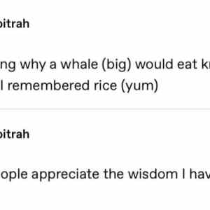 Obrázek 'Whale wisdom'