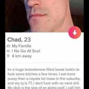 Obrázek 'What-a-chad'