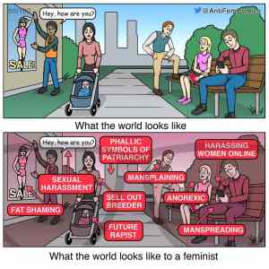 Obrázek 'What the world looks like to a feminist'