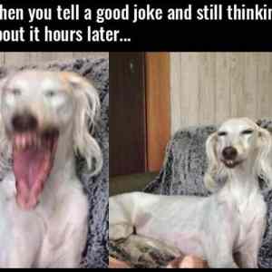 Obrázek 'When You Tell A Good Joke'