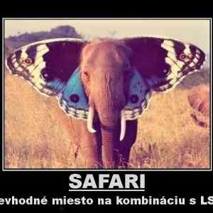 Obrázek 'Why Safari And LSD Dont Mix 27-02-2012'