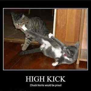 Obrázek 'X- High Kick'