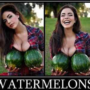 Obrázek 'X- Watermelons'