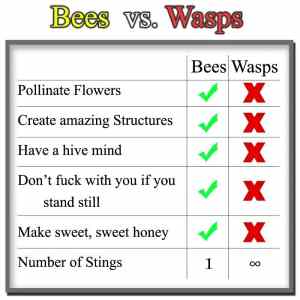 Obrázek 'X- X Bees vs Wasps'