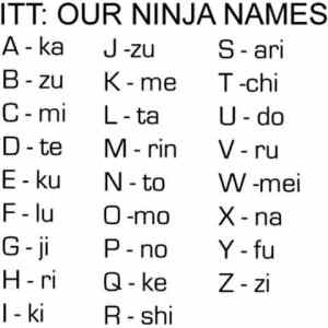 Obrázek 'X- Your ninja name'